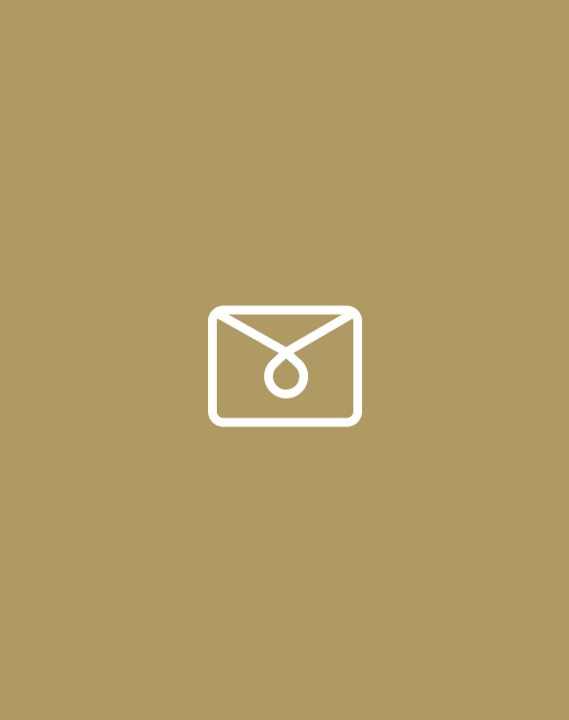 René Caovilla e-commerce newsletter icon